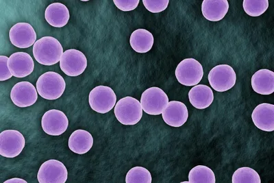 Rapid diagnosis of common, undetected, and uncultivable bloodstream infections from positive blood cultures using Oxford Nanopore sequencing: a metagenomic pipeline analysis