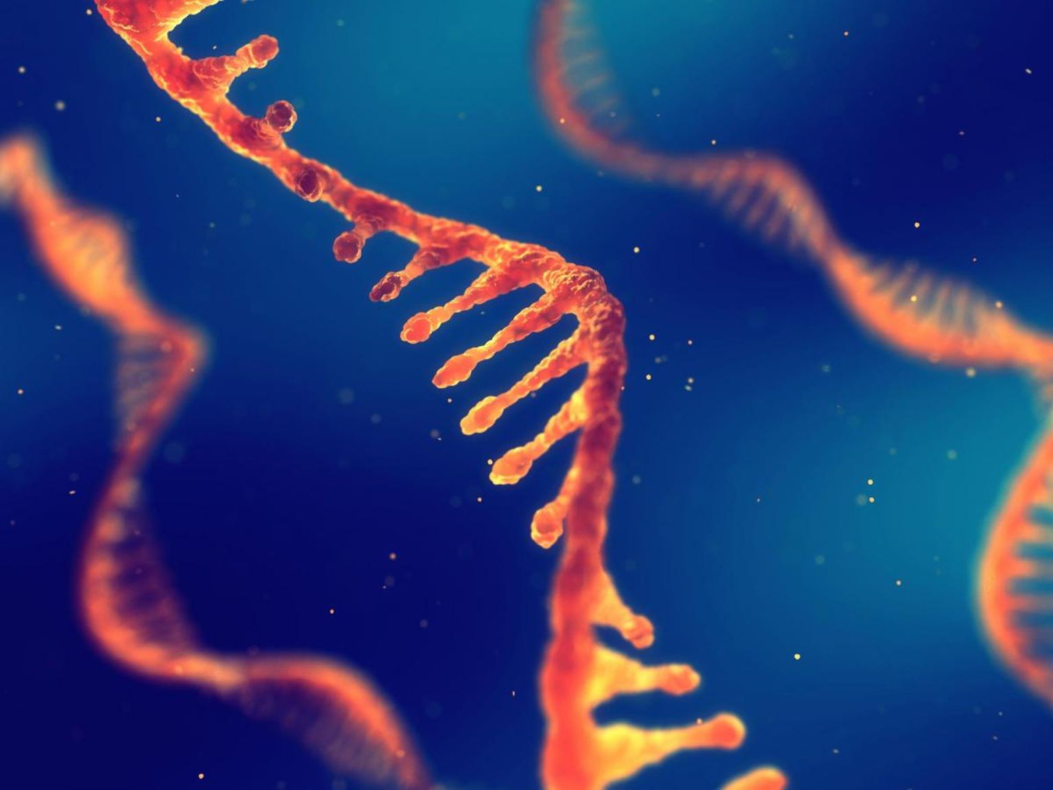 Transcriptome variation in human tissues revealed by long-read sequencing