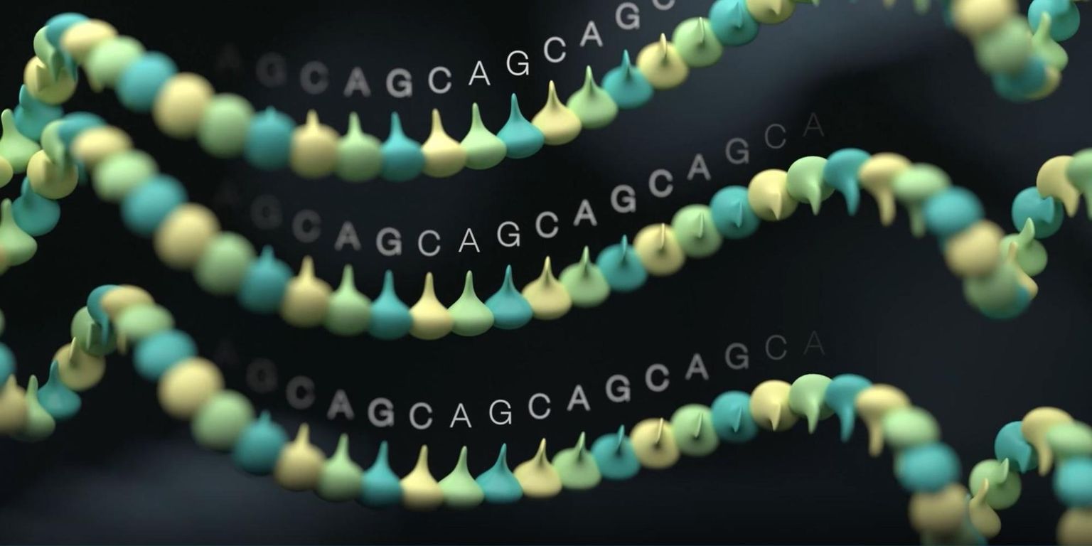 NCM 2022: STRspy-ing hidden variation in forensic DNA profiles using the MinION device