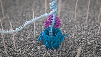 illustration of nanopore sequencing