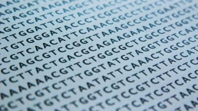 dna sequence