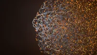 Flyer: methylation detection