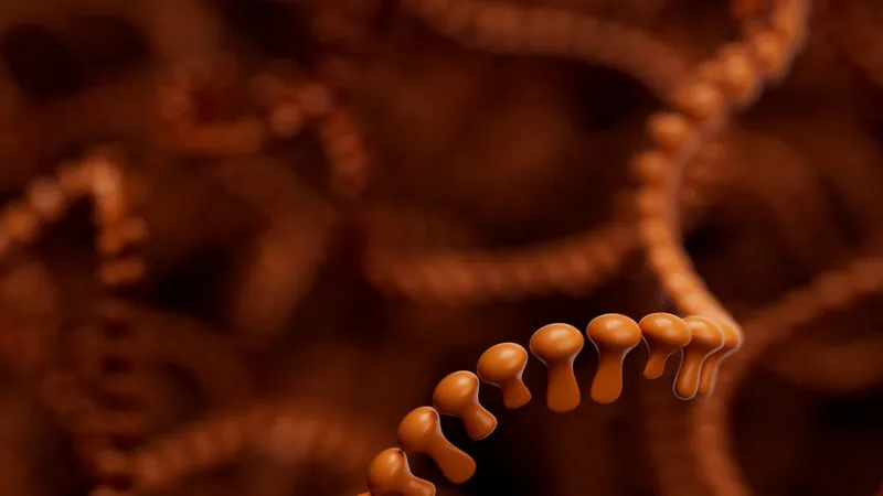 Strands of orange RNA folded over themselves