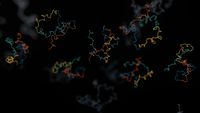 Getting started guide: bulk transcriptomics