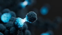 Flyer: Hereditary Cancer Panel