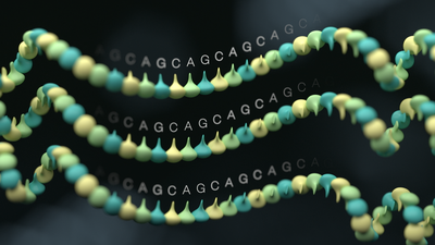 Three horizontal parallel strands of DNA with the bases in blue, yellow and green with the letters floating above. Each strand has the same order of bases