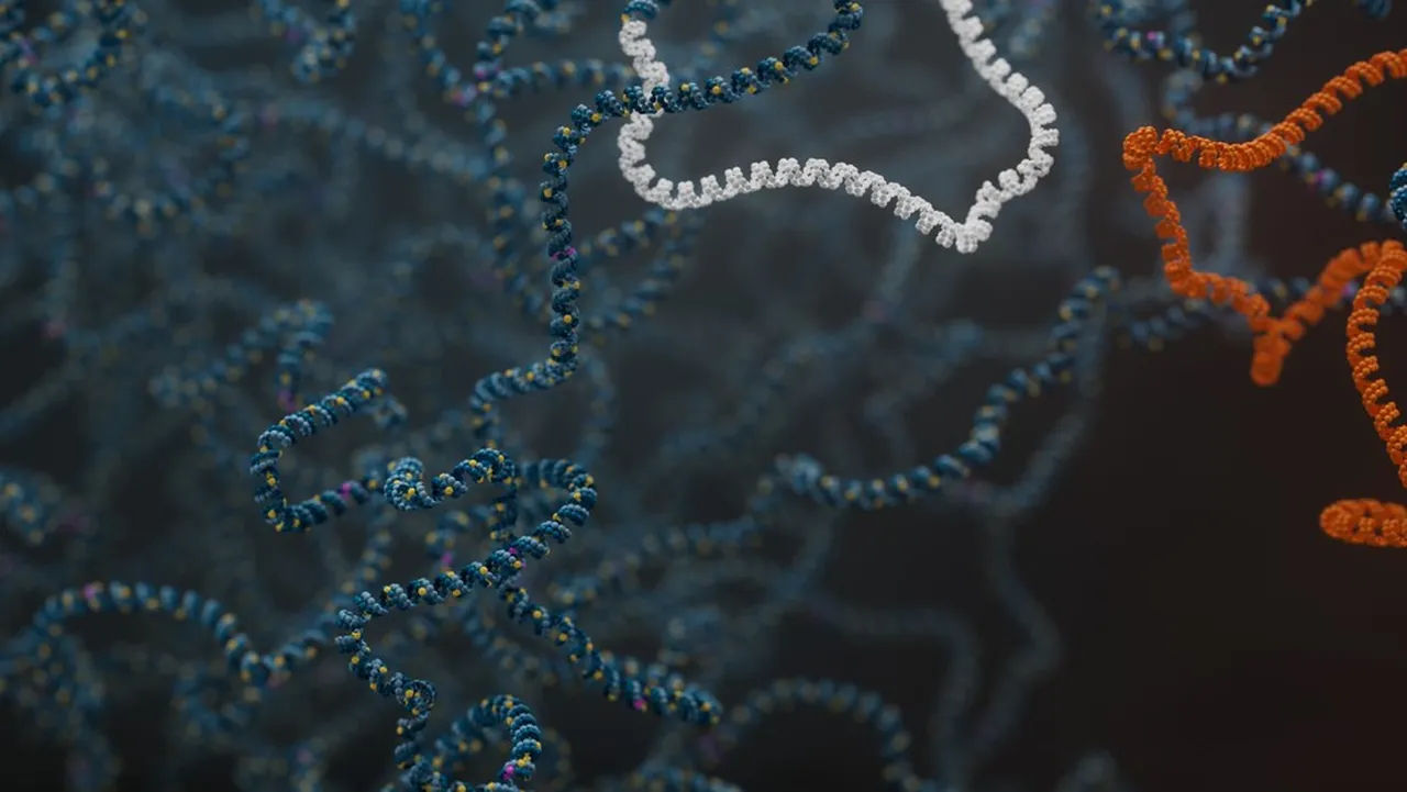Rapid identification of MSK-IMPACT cancer variants with real-time targeted nanopore sequencing