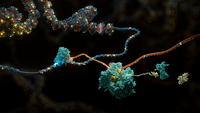 Decoding complex disease through multiomics