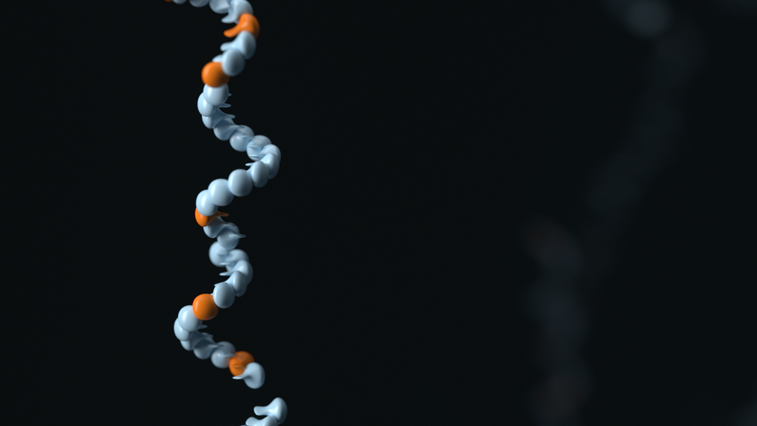 Nanopore sequencing in distinguishing between wild-type and vaccine strains of Varicella-Zoster virus