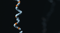 An end-to-end workflow for pharmacogenomic target enrichment, star allele annotation, and CYP2D6 resolution using nanopore sequencing