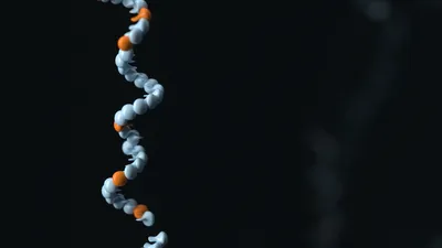 Stand of DNA where most of the bases are white but some are orange