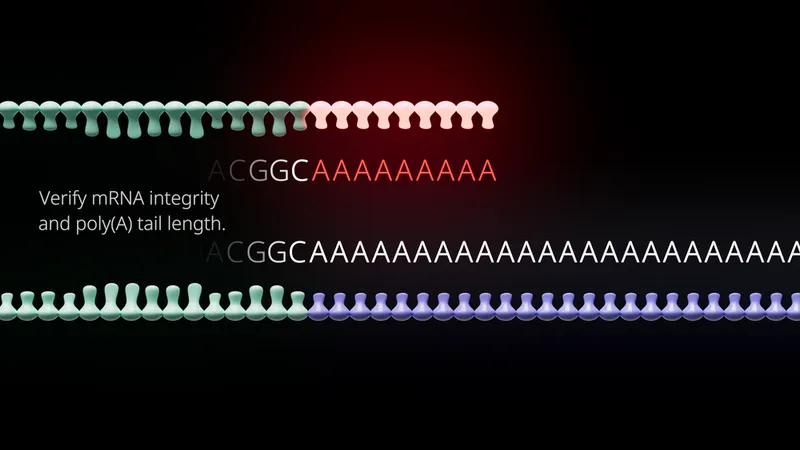 mRNA QC