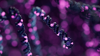 Turning data into answers: Rare disease case studies from clinical researchers