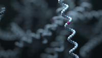 Targeted long-read sequencing enables comprehensive analysis of the genetic and epigenetic landscape of inherited myopathies