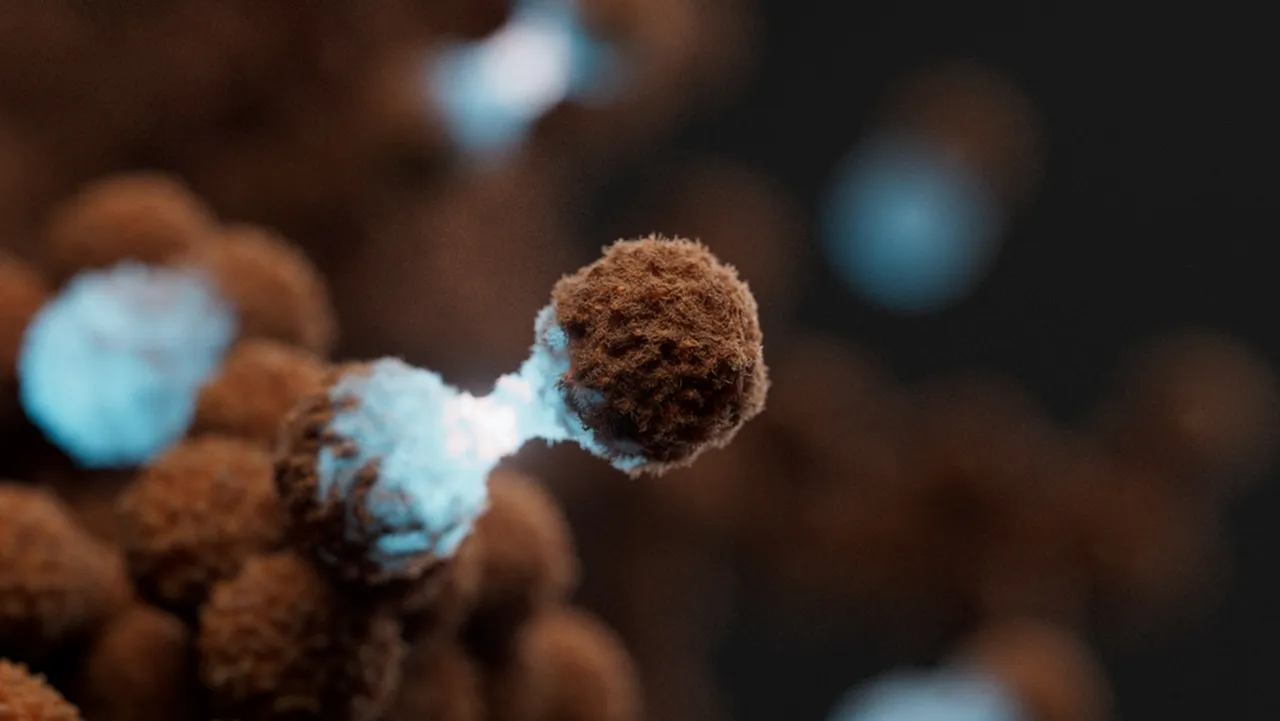 Science unlocked: publication picks from July 2025