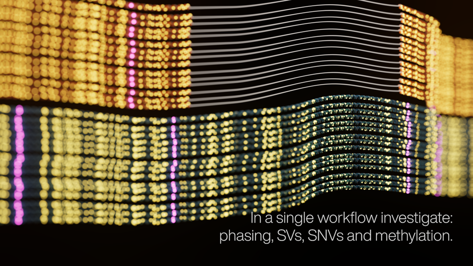 Animation showing lines representing sequencing data. Bases are lit in yellow and pink, and deletions are visualised. The image includes the text- In a single workflow investigate: phasing, SVs, SNVs and methylation