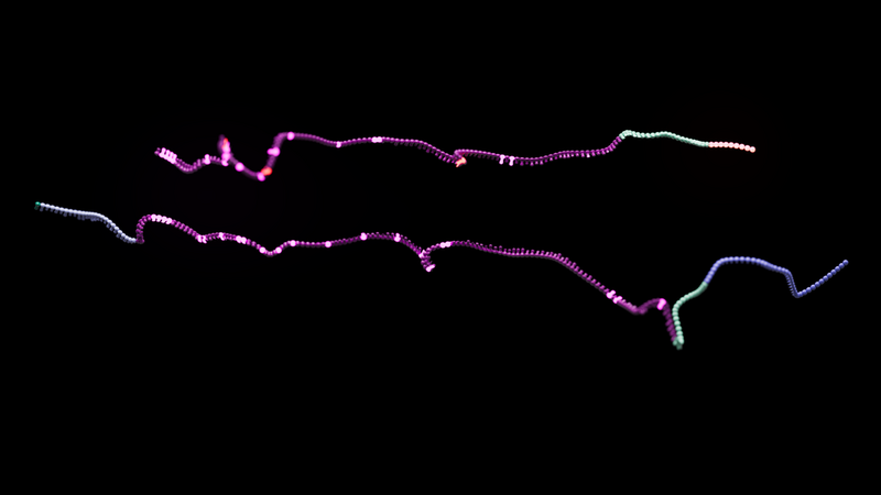 mRNA molecules
