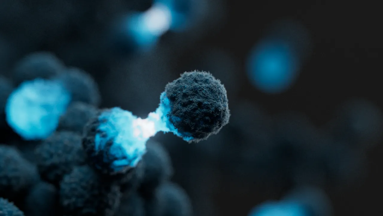 Lessons from AACR 2024