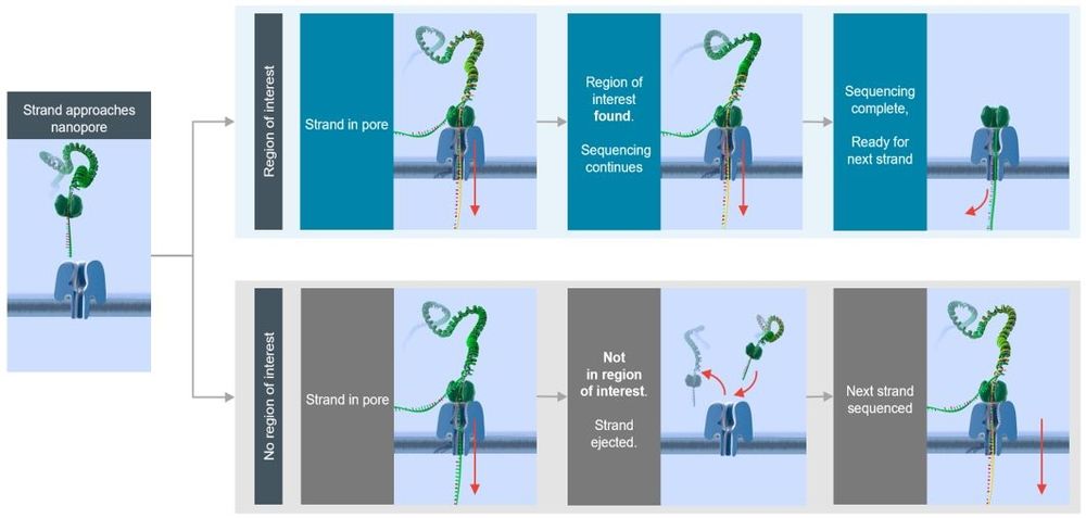Adaptive sampling