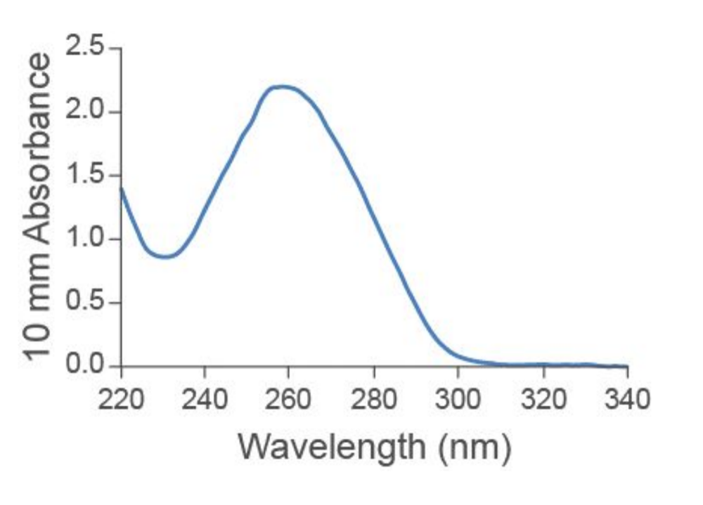 Arabidopsis-leaf