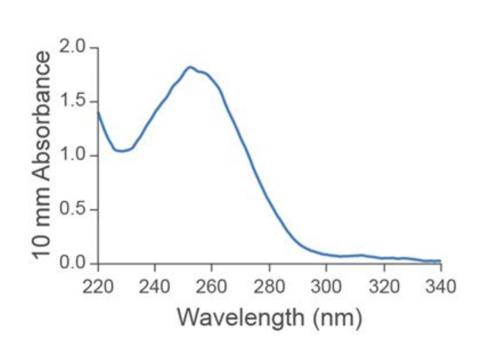 Arabidopsis RNA