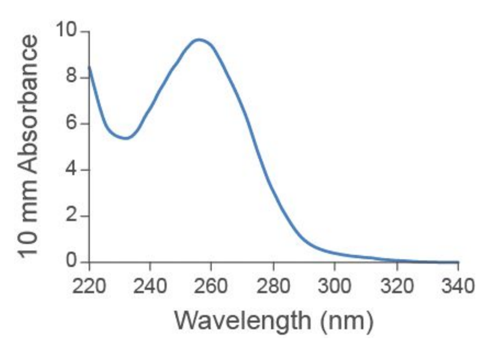 Drosophila RNA