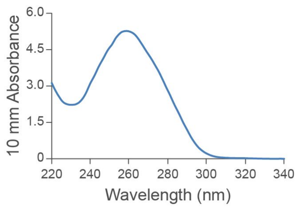 Bull sperm absorption