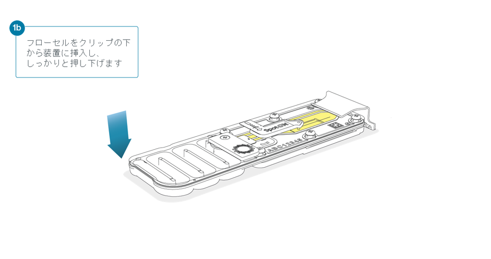 Flow Cell Loading Diagrams Step 1b_JP Flow Cell Loading Diagrams Step 1b_JP