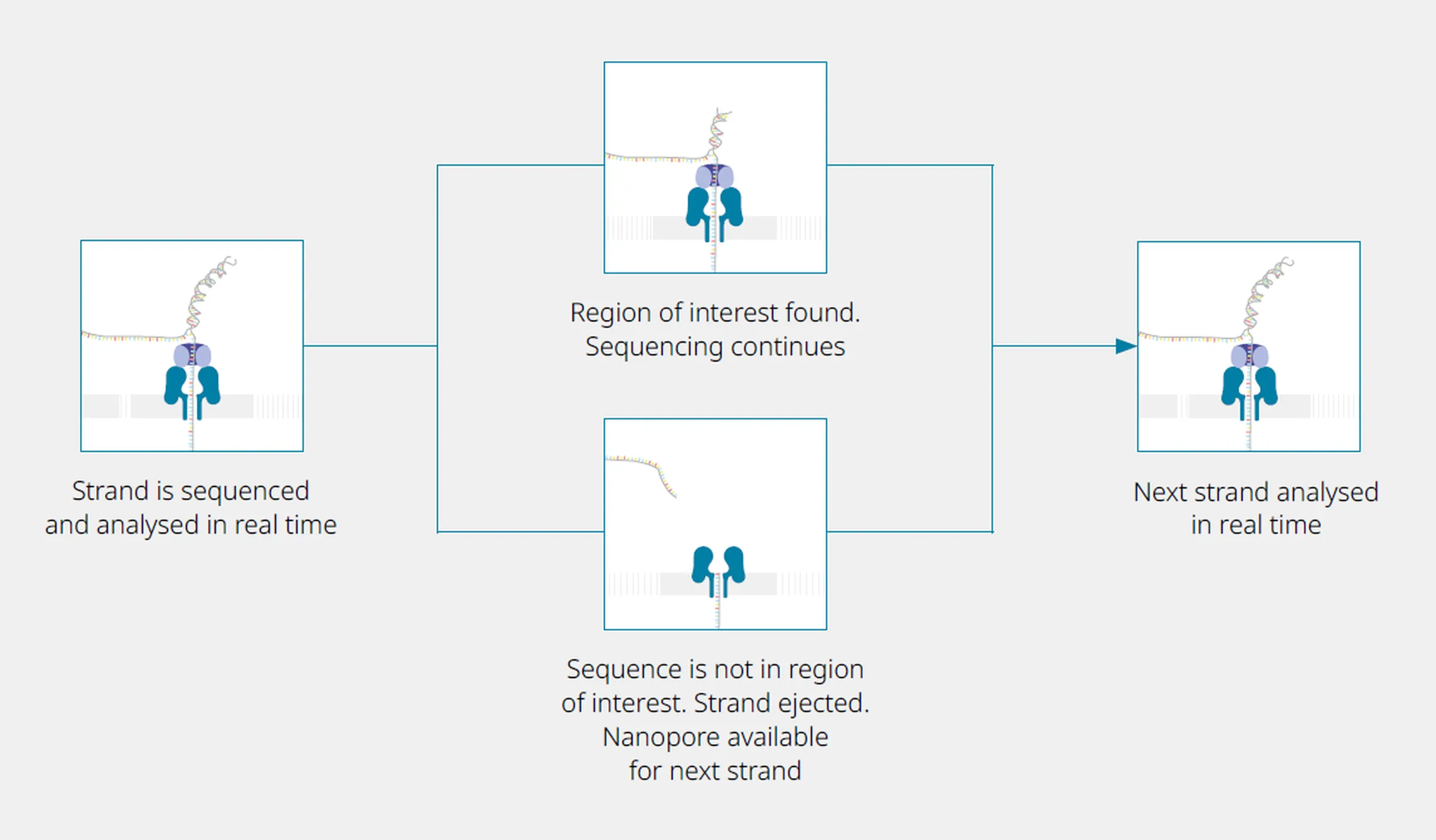 A schematic providing a high-level overview of how adaptive sampling works