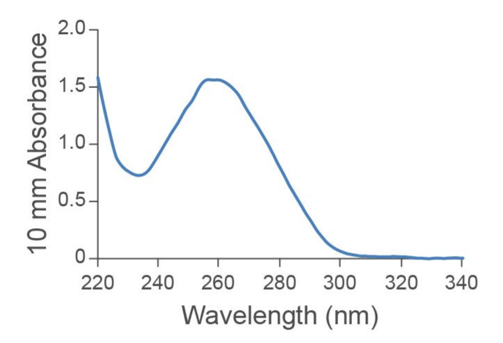 Drosphila
