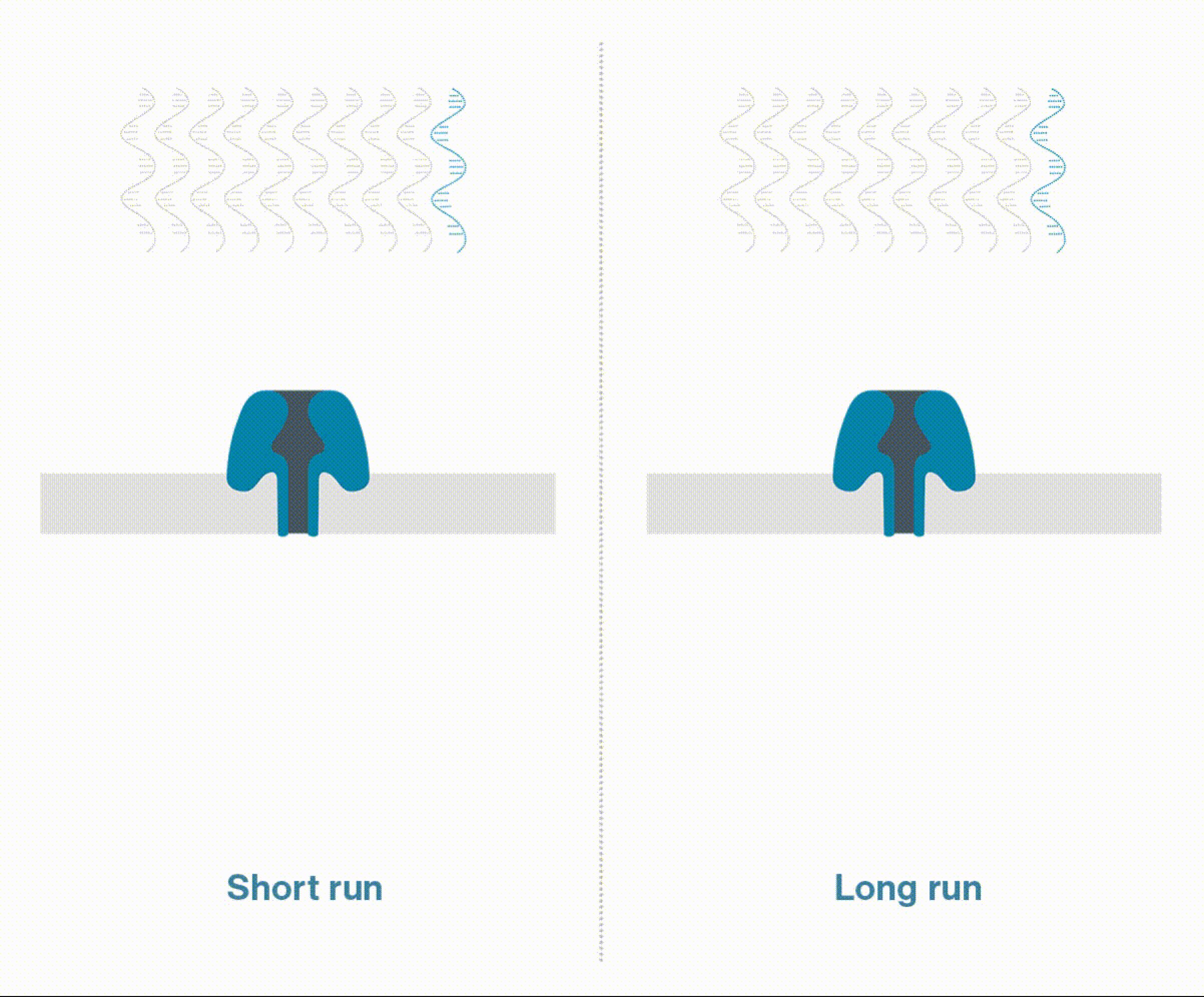 Longer run GIF