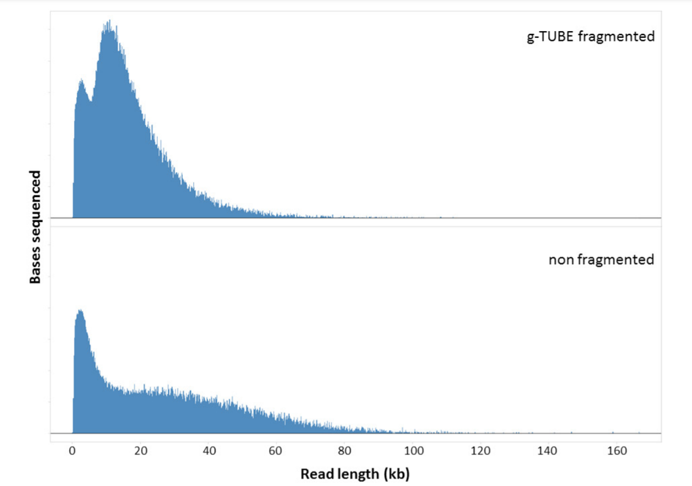 Cell lines QIAGEN fragmentation sequencing