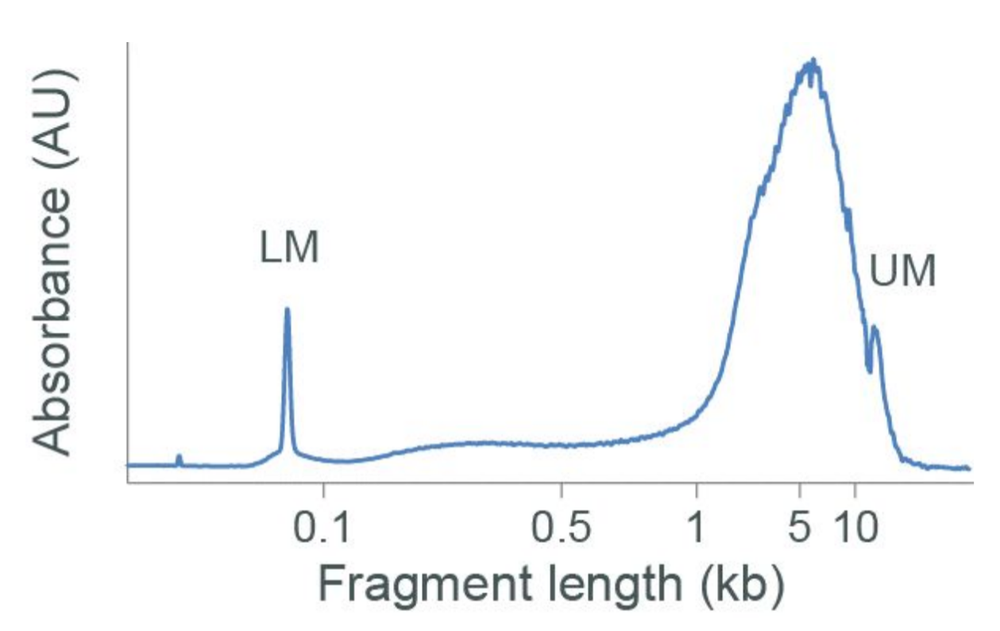 blood Pore-C frag