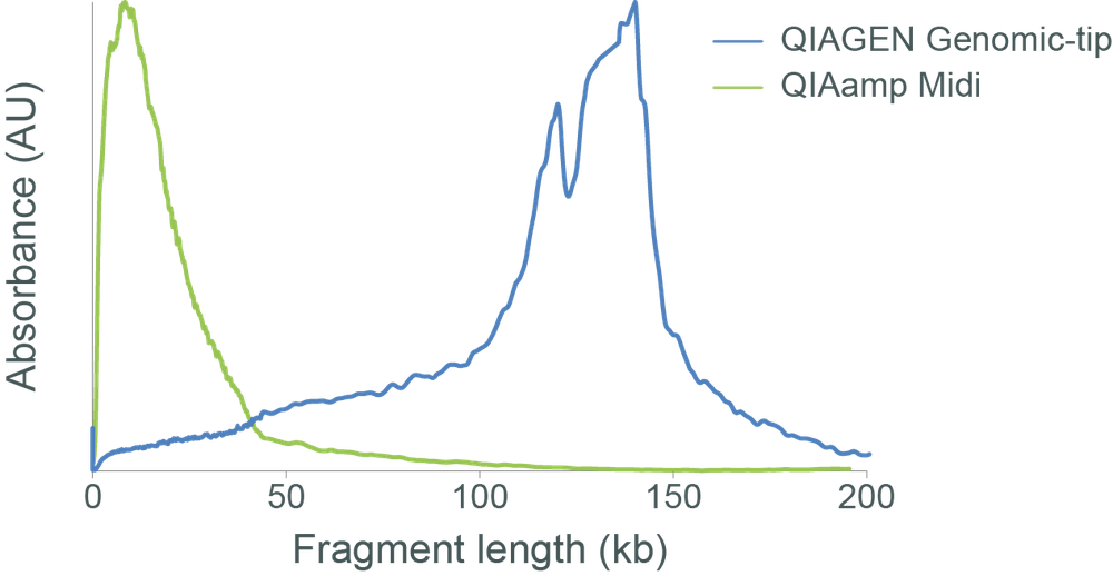 Avian blood fragments