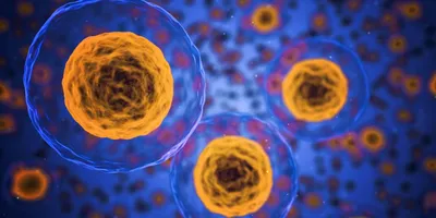 Single Cell Genomics 2026