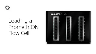 How do I load a PromethION Flow Cell