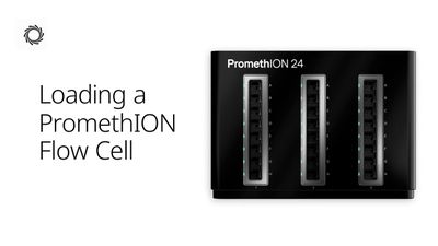 How do I load a PromethION Flow Cell