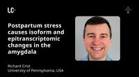 Postpartum stress causes isoform and epitranscriptomic changes in the amygdala | LC26