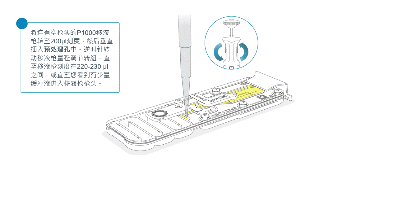 Chinese_removing_air_from_port_min_grid_edit_feb2025 Chinese_removing_air_from_port_min_grid_edit_feb2025