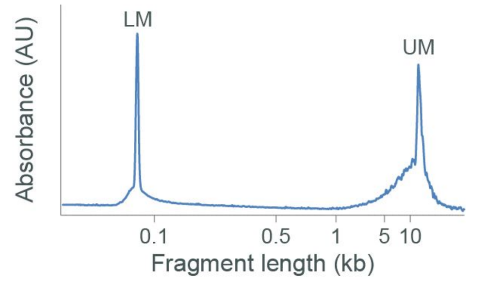 insect Pore-C frag