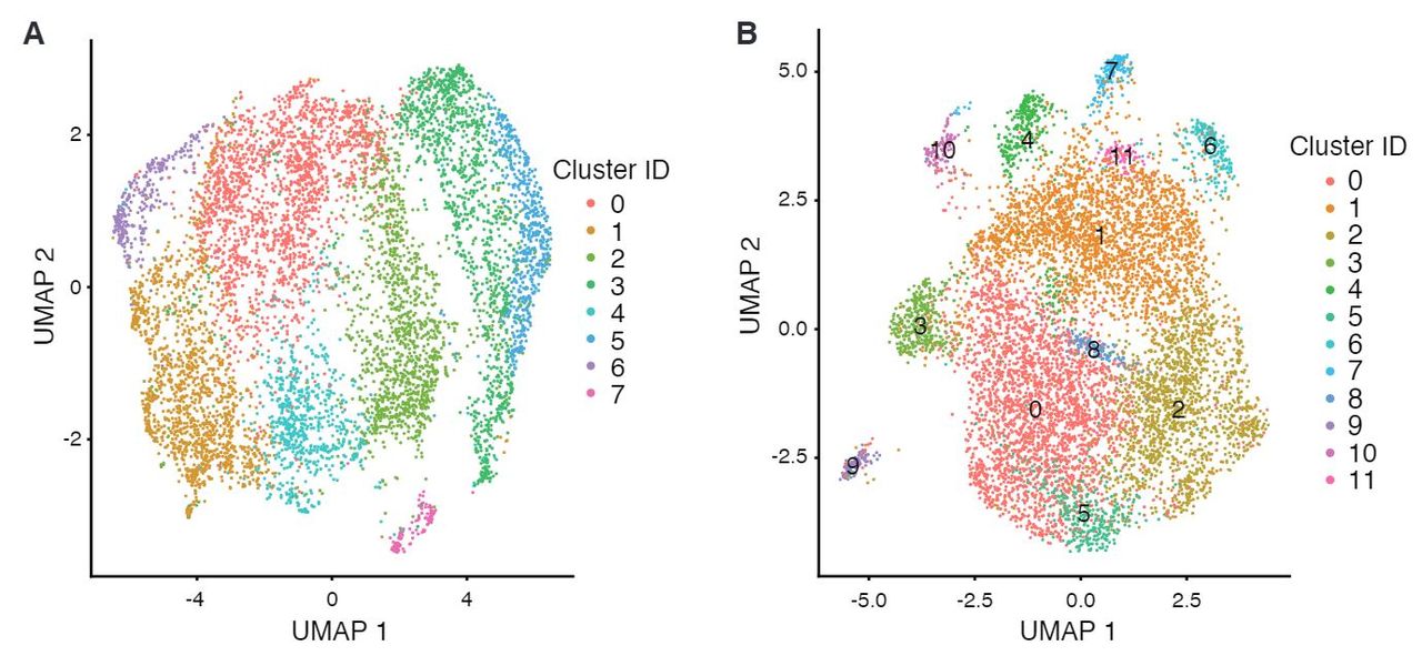 Image showing UMAP plots, with gene expression data from short-read sequencing and isoform expression data enabled by long nanopore reads.