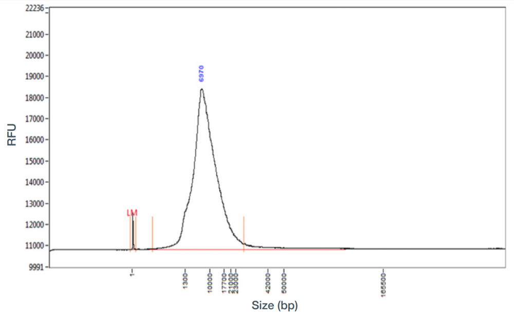 soil fragment after SPRI