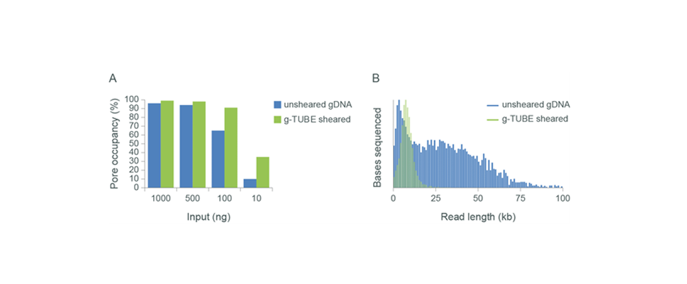 Figure 10: Relationship between sample input and sequencing output