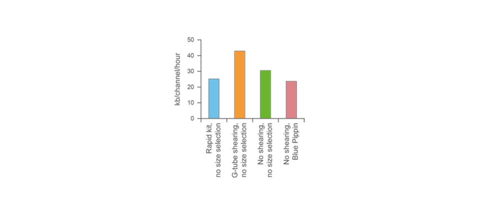 Figure 8: Sequencing output from DNA prepared with or without fragmentation or size selection