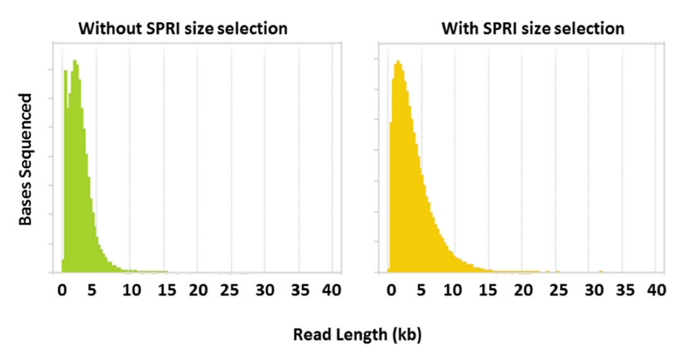 soil seq after