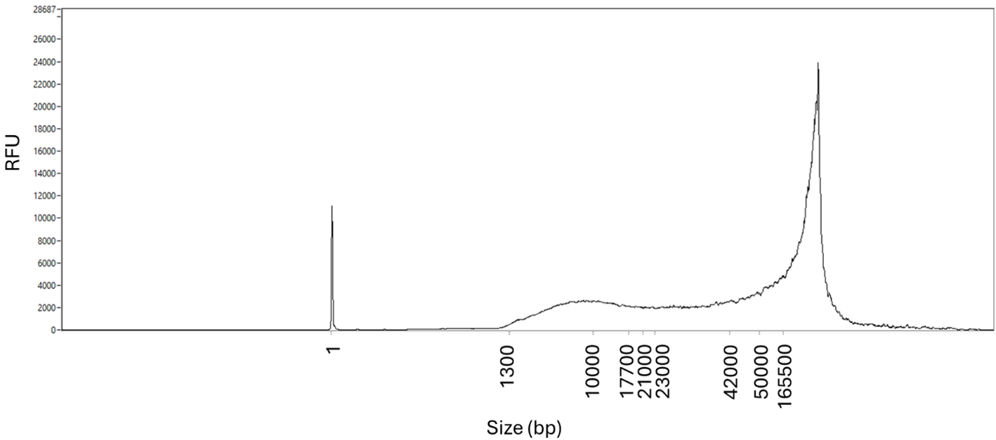 Chromatin_access_gDNA_extract_frag_length