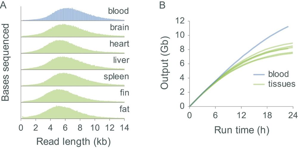 Salmon blood and tissues fig2