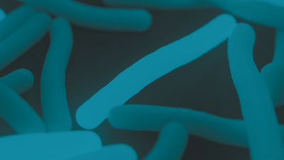 Visualisation of Mycobacterium tuberculosis bacteria in shades of blue.