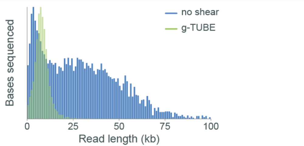 g-TUBE