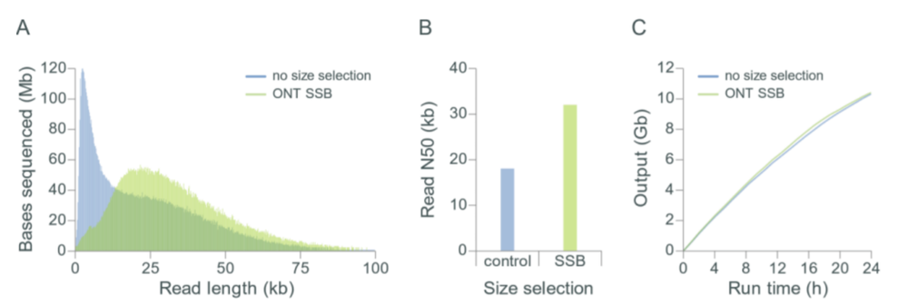 HWM DNA size selection